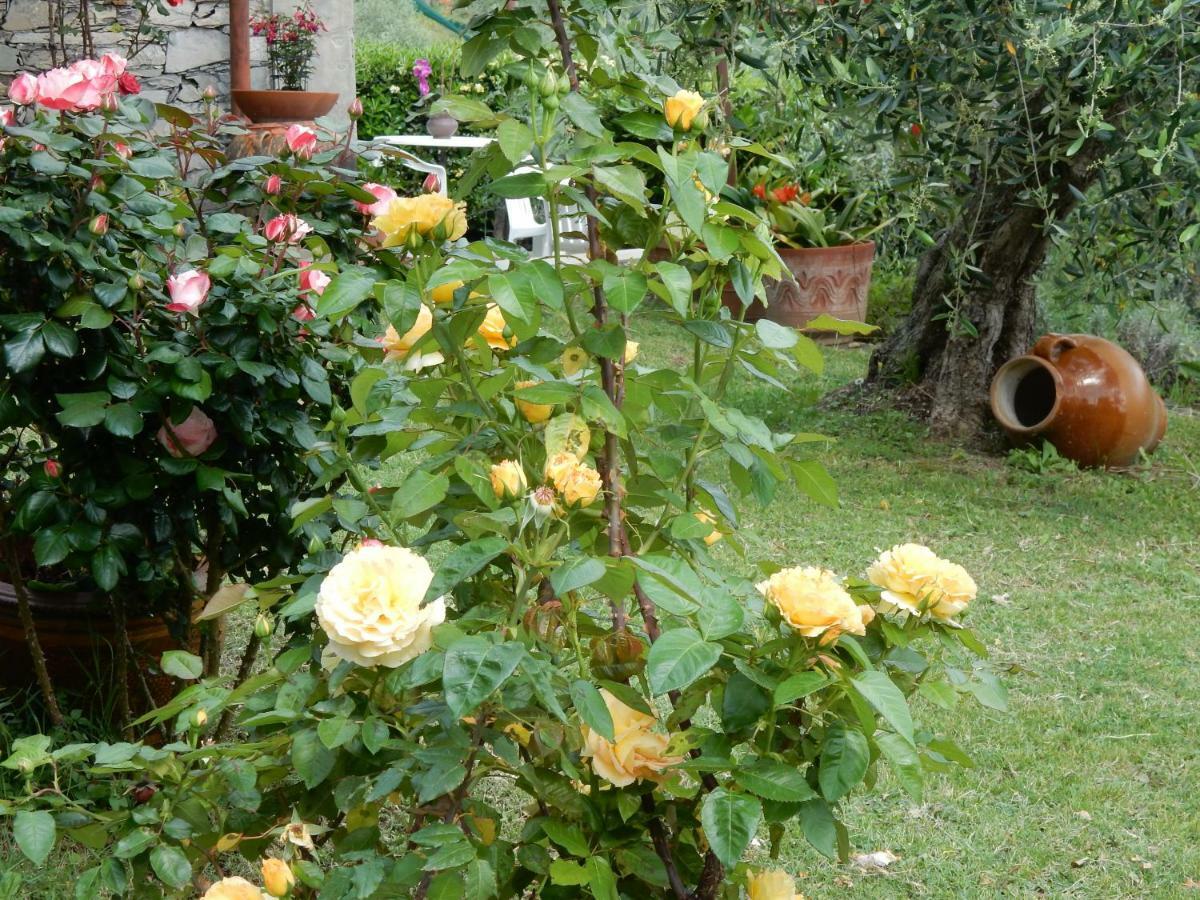 Villa Vista Mare Lavagna Dış mekan fotoğraf
